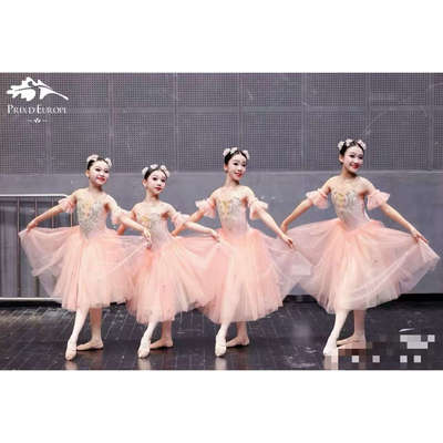仙女芭蕾演出服四人舞比赛表演裙粉色专业篷篷裙长纱裙芭蕾舞裙