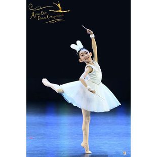 童星圆仙女娃娃木偶仙子兔子舞鼓手变奏芭蕾舞裙演出舞服大人儿童