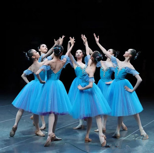 芭蕾舞裙演出儿童比赛专业表演服天蓝色长裙篷篷裙成人芭蕾演出服