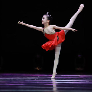 芭蕾舞剧小爱神丘比特魔符女变奏专业芭蕾舞裙红色儿童表演演出服