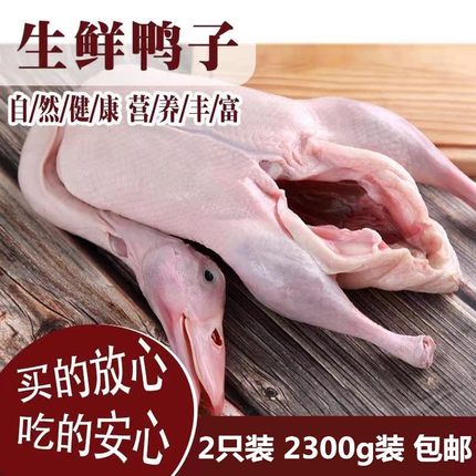 新鲜鸭子2只装8斤整鸭肉鸭货包邮生冷冻整只冻鸭子白条鸭