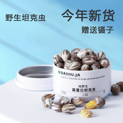 蜜袋鼯仓鼠粮食零食坦克虫洋辣子花枝鼠活虫金丝熊杨拉罐食用钓鱼