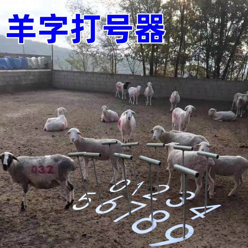 牛羊猪用打号器数字标记打号器涂号神器牛羊猪数字打号器,畜牧/养殖物资,畜牧/养殖器械,淘宝优惠券,粉丝福利购,淘宝优惠卷