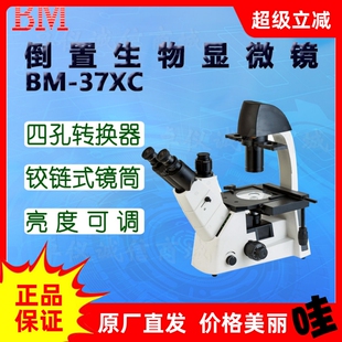 640倍 XCP四孔无限远40 BM彼爱姆平板电脑倒置生物显微镜BM 37XCD