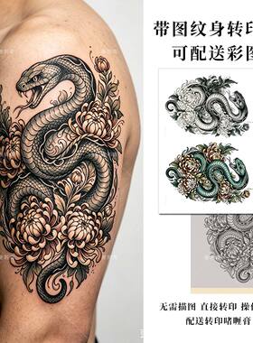 带图案纹身转印纸 灵蛇缠菊纹身刺青手稿遮疤手臂小腿图案配啫喱