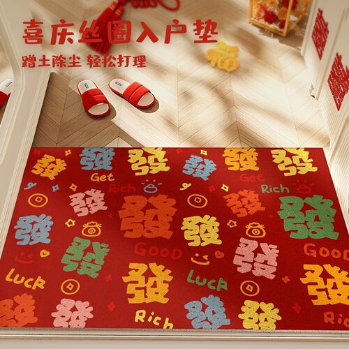 多巴胺彩色丝圈地垫家用入户刮泥蹭土脚垫玄关防滑除尘耐磨垫子