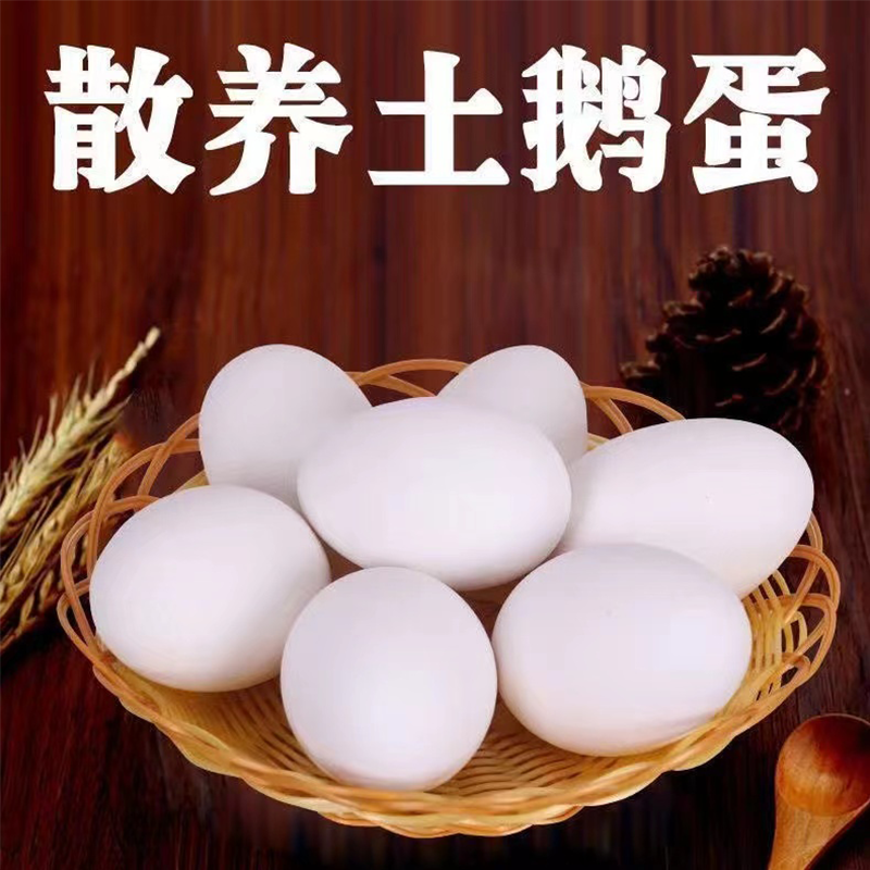 农村土鹅蛋现捡现发新鲜正宗新鲜鹅蛋