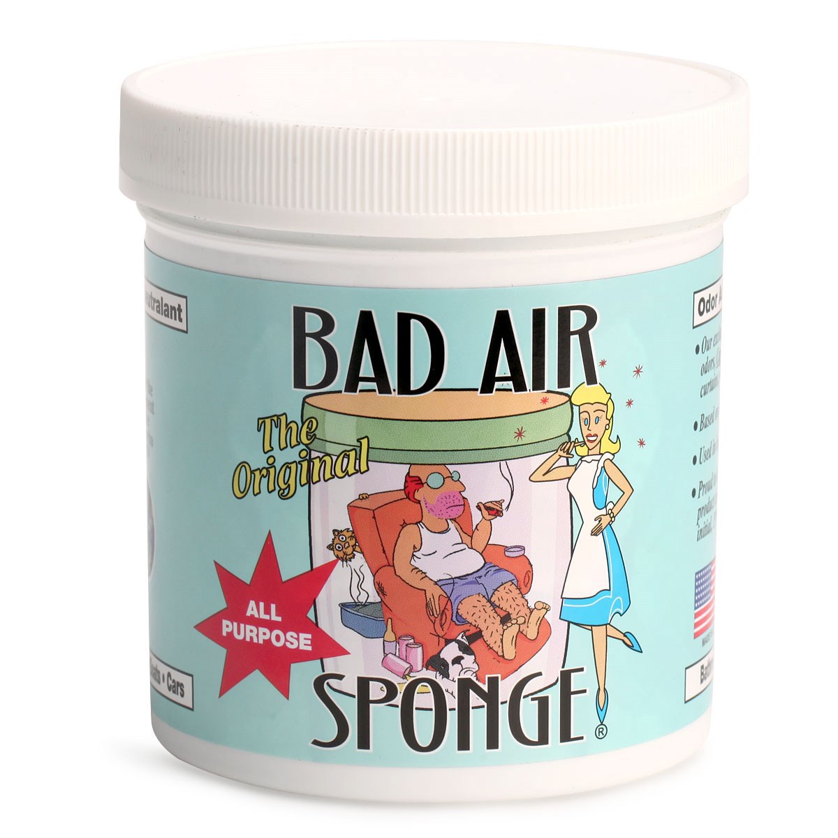 家用美国进口BadAirSponge空气净化器去味除甲醛祛雾霾甲醛400g