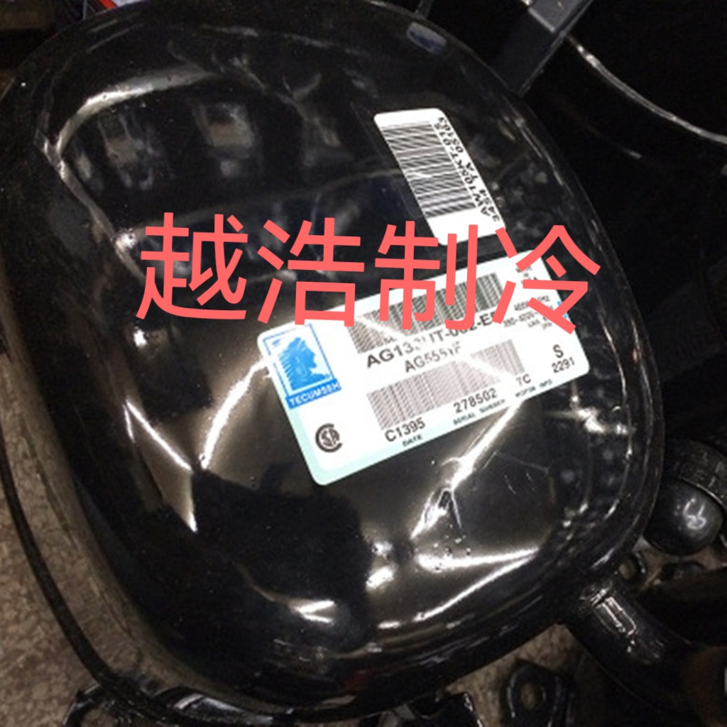 AVA5535EXG 5528 AG5524 AV5532E AVA5546EXG原装泰康活塞压缩机