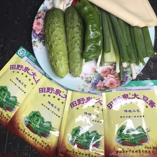 田野泉大豆酱东北大酱黄豆酱炸酱蘸酱调味酱大豆酱包邮