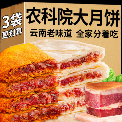 【够一家人吃的大月饼】