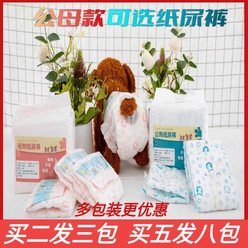 公狗专用纸尿裤尿不湿母狗生理裤