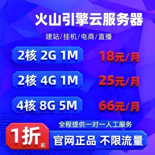 火山引擎云服务器ECS火山云主机BGP网站建设vps数据库独立ip天翼