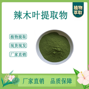 辣木叶提取物  辣木干叶浓缩粉 另售桑黄灰树花 100g袋散装新货