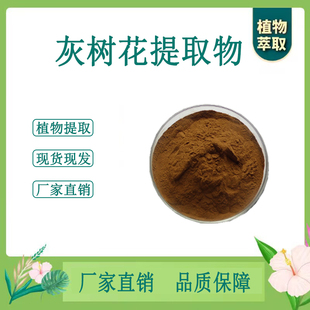 灰树花提取物 灰树花菌浓缩粉 另售桑黄灰树花多糖 100g散装新货