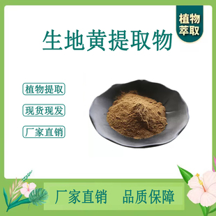 生地提取物 生地黄浓缩粉 另售牡丹皮熟地黄乌梅 100g袋 散装新货