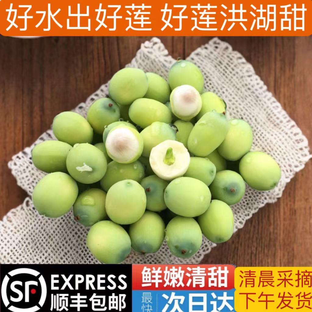 洪湖新鲜莲子米现摘洪湖莲蓬新鲜生莲子米嫩甜水果孕妇当季