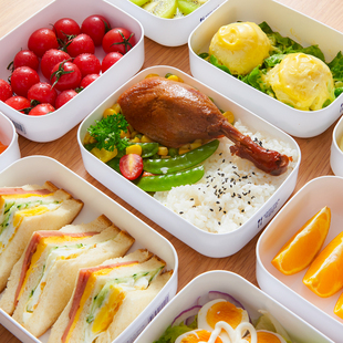 餐盒 日本进口便当盒可微波炉加热专用饭盒冰箱水果收纳保鲜盒日式