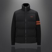 立领拼接羽绒服90白鹅绒 QT6020 新款 038 P460