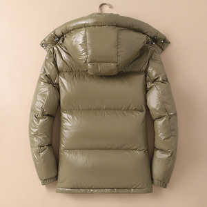 新款连帽羽绒服90白鸭绒可脱卸 QT2031-13266-P480（控价620）图片