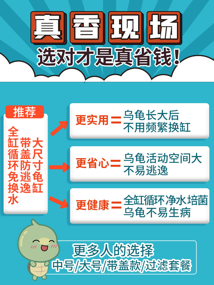 宠尚天 带缸龟缸送2只小乌龟活物活体龟盆巴西龟宠物龟中华草龟