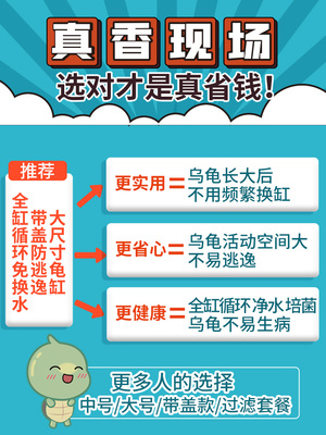 宠尚天 带缸龟缸送2只小乌龟活物活体龟盆巴西龟宠物龟中华草龟