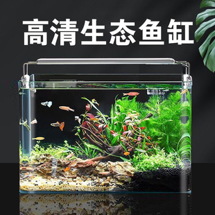 鱼缸造景全套热弯玻璃缸客厅小型桌面免换水生态草缸迷你金鱼缸