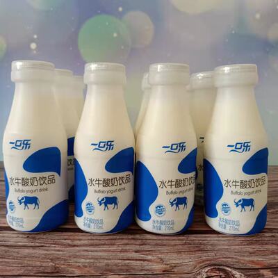 新西兰水牛乳发酵乳酸菌原味酸奶