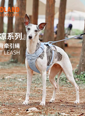 ZOOLAND狗狗透气胸背牵引绳子泰迪雪瑞纳小中大型犬背心式遛狗绳