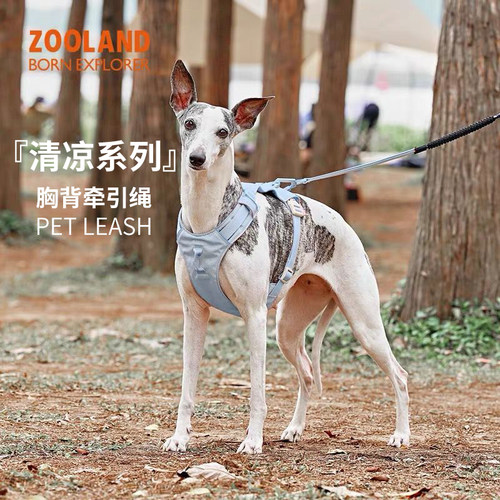 ZOOLAND宠物狗狗透气胸背牵引绳