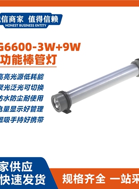 RG6600-3W+9W多功能棒管灯磁吸式巡检灯管聚泛光工作照明灯