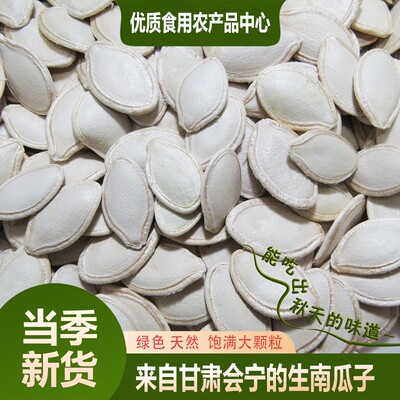 南瓜子大片甘肃会宁特产天然健康