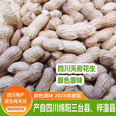 四川天府花生带壳生花生绵阳特产2025年新货干花生新鲜包邮