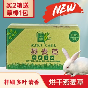 惠蒙小宠毛顺屎圆提摩西草干草 西安磨牙兔粮兔草提摩西草龙猫