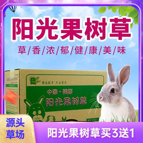 惠蒙兔子龙猫荷兰猪干草