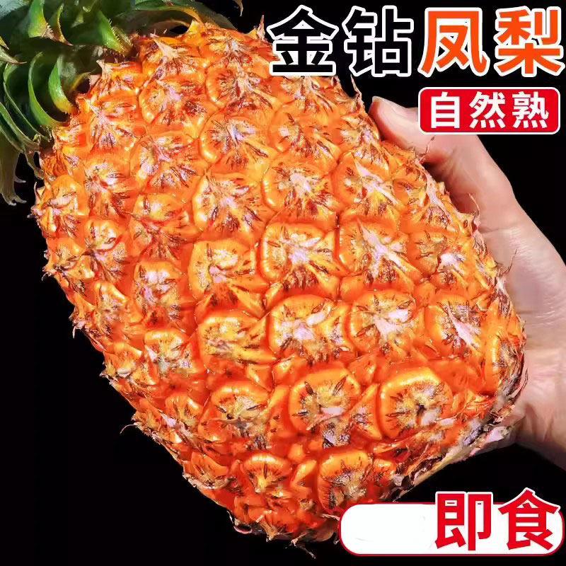 金钻凤梨新鲜海南超甜应季热带水果手撕正宗邮脆甜多汁菠萝