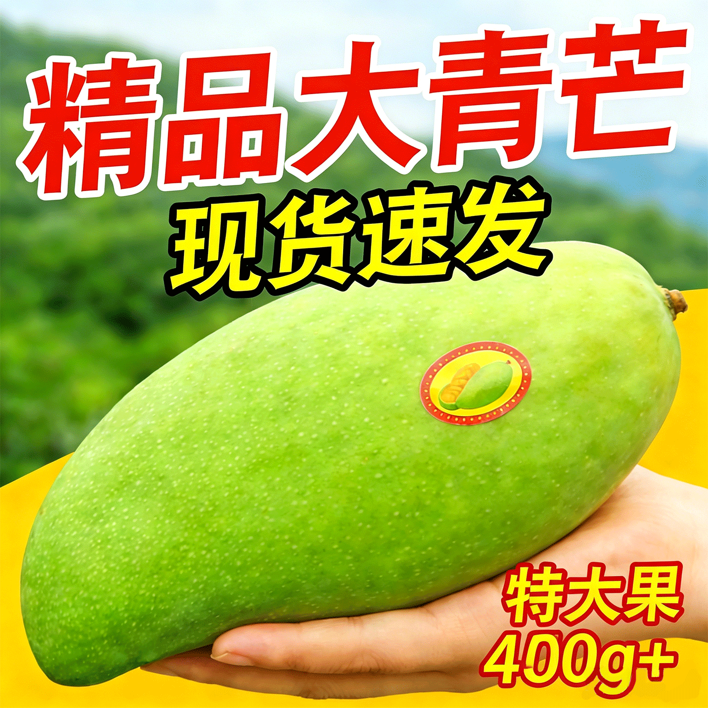 【现货速发】新鲜大青芒鲜果水果青皮当季黄皮甜心芒果产地直发