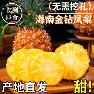正宗凤梨新鲜水果海南当季特大金钻芒果手撕香水菠萝牛奶应季水果