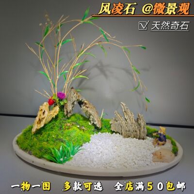 16 中风凌石 多款可选 天然奇石摆件花卉盘景鱼缸沙盘石(满50包邮