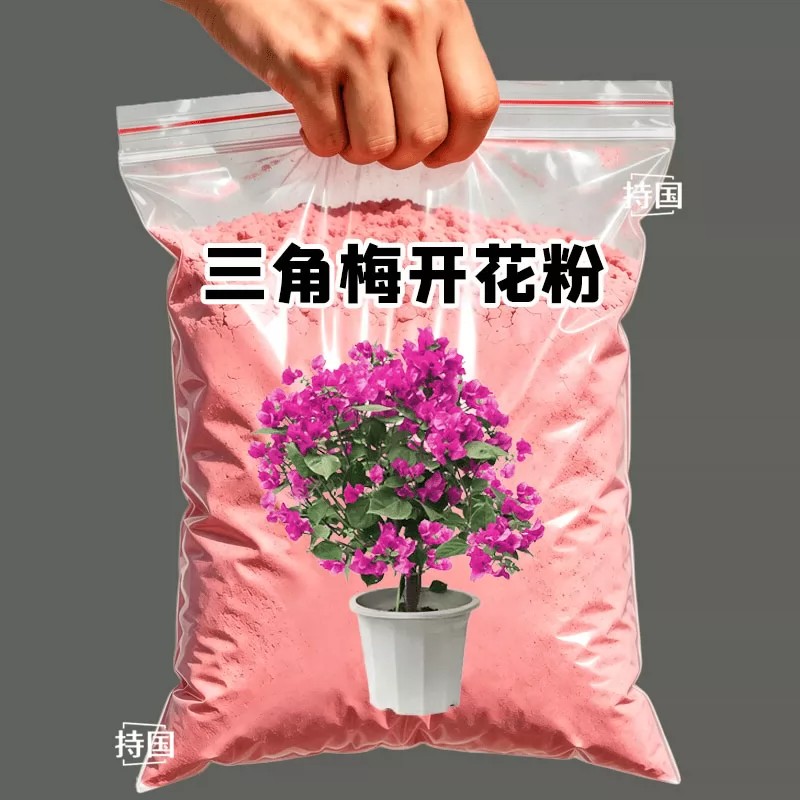 三角梅催花开花粉促芽剂催光杆