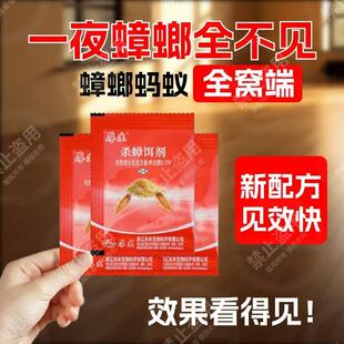 厚生老牌子蟑螂蚂蚁药出租屋家用微毒厨房宿舍卧室客厅一窝端