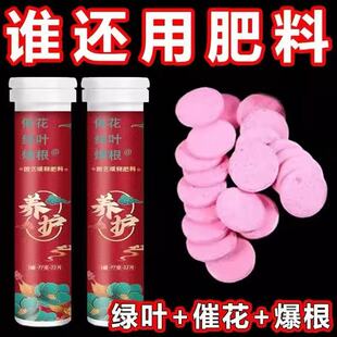 植物营养片通用型缓释片绿植花肥料复合肥花卉缓释肥家用盆栽园艺