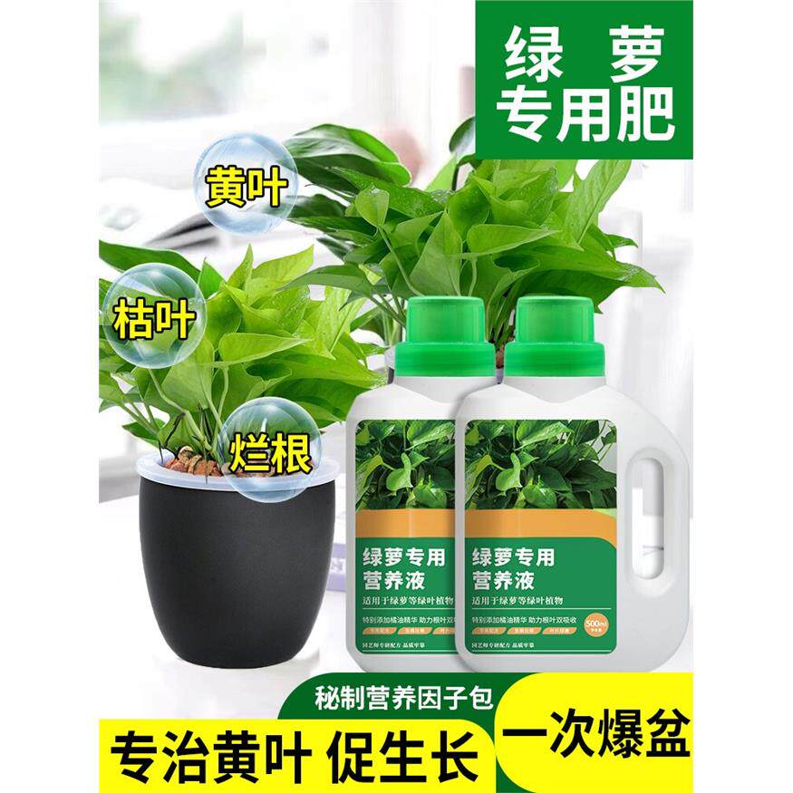 绿萝营养液肥料专用肥植