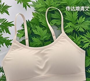 【艾草纤维零感抗菌文胸】2件 断码