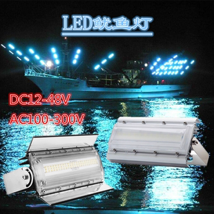 渔登 海钓青光LED集鱼灯12V夜钓鱿鱼灯带DC5521插头线220V聚鱼灯