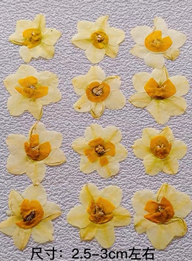 水仙花押花干花包DIY材料包