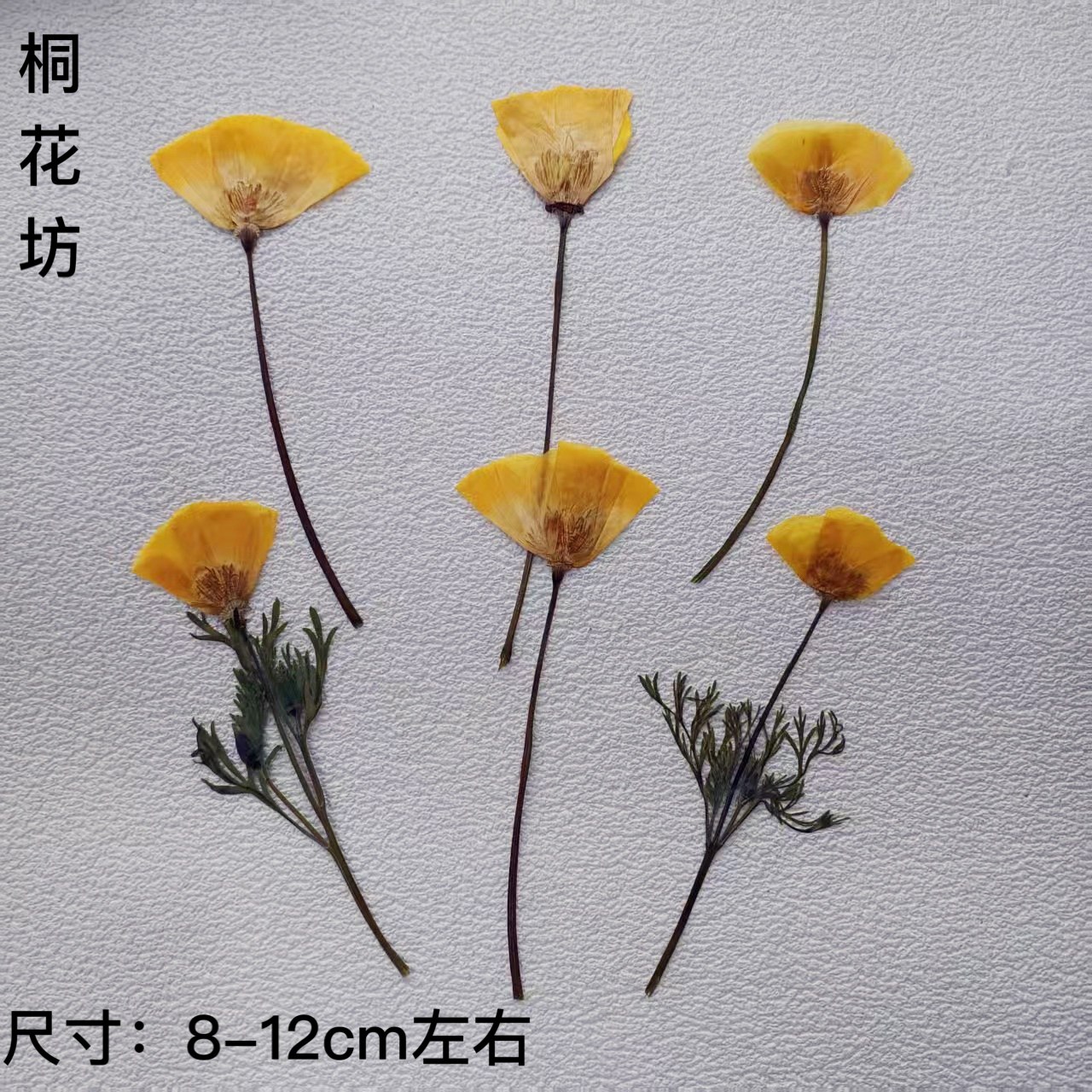 花林草押花干花包DIY材料包