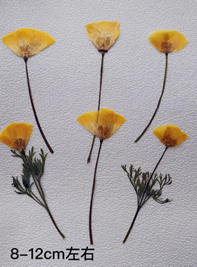 花林草押花干花包DIY材料包