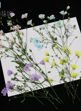 霞草花 押花压花真花DIY植物标本香薰蜡烛手机壳书签手工桐花坊