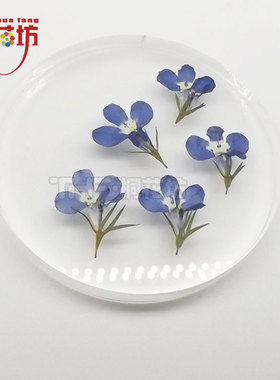 干花diy手机壳滴胶小花植物标本